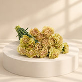 carnation flower order in doha 