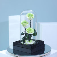Three white and green double colour preserved roses in elegant luxury wrapping for gifting in Qatar