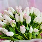 A bouquet of white tulips with soft pink tips and green stems, wrapped in pink and white tissue paper.