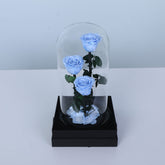 Blue Trio Forever Rose