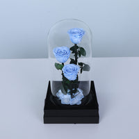 Blue Trio Forever Rose