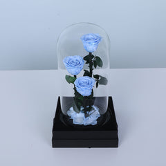 Blue Trio Forever Rose