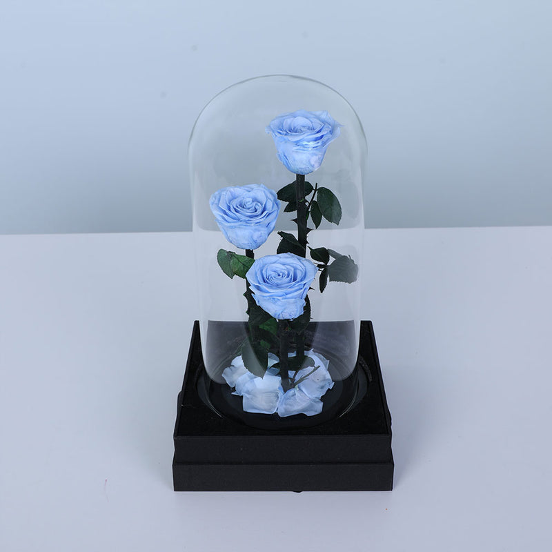Blue Trio Forever Rose