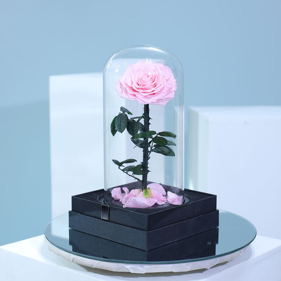 Elegant light pink preserved single rose in luxury wrapping for gifting in Qatar