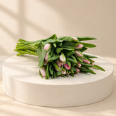 Light pink tulip for wholesale price 