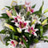 A vibrant bouquet of lilies and baby's breath flowers wrapped in white and gold paper, photographed from a top-down angle against a clean white background.