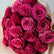 A close-up of a bouquet of deep magenta roses wrapped in light beige paper.