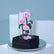 Luxury arrangement of three pink preserved roses for gifting in Qatar