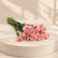 fresh pink carnation flower