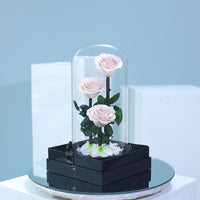 Blush Peach Trio Forever Rose Dome