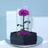 Elegant long lasting purple single rose arrangement in luxury wrapping