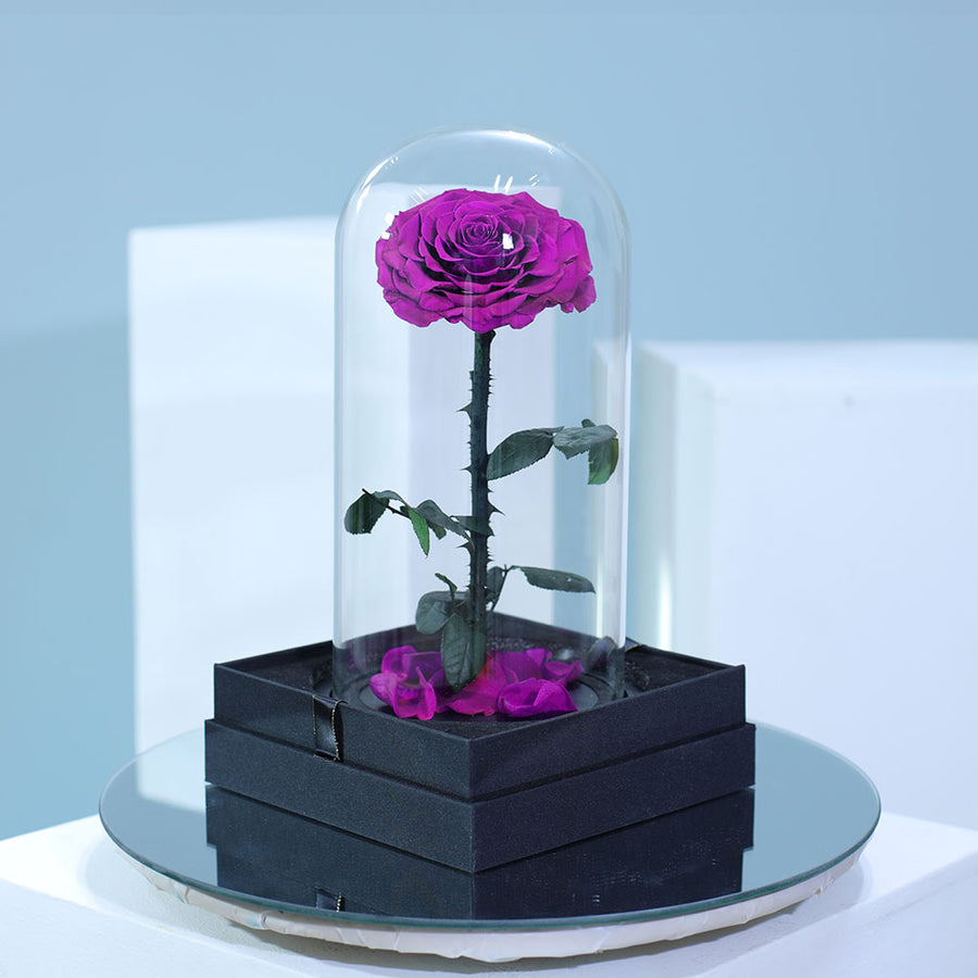 Elegant long lasting purple single rose arrangement in luxury wrapping