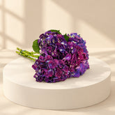A cluster of bright Purple hydrangea flowers with green stems, arranged on a white surface against a white background.