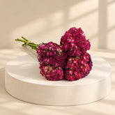 hydrangea flowers buy in doha qatar