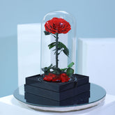 long lasting preserved red single rose in elegant wrapping for luxury gifting in Qatar