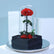 long lasting preserved red single rose in elegant wrapping for luxury gifting in Qatar