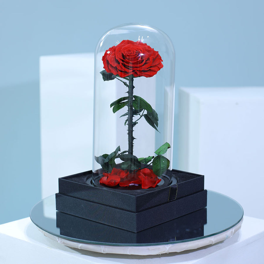 long lasting preserved red single rose in elegant wrapping for luxury gifting in Qatar