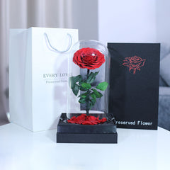long lasting preserved red single rose in elegant wrapping for luxury gifting in Qatar