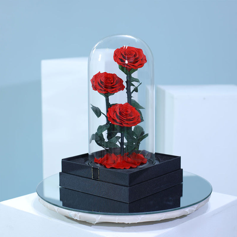 Three preserved red roses arranged beautifully for romantic gifting in Qatar