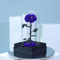 Luxury royal blue preserved single rose in elegant wrapping for gifting in Qatar