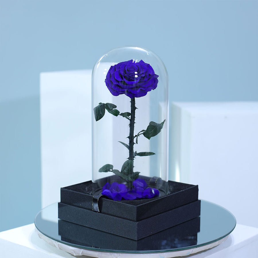 Luxury royal blue preserved single rose in elegant wrapping for gifting in Qatar
