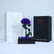 Luxury royal blue preserved single rose in elegant wrapping for gifting in Qatar