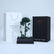 Elegant green preserved single rose in luxury wrapping for gifting in Qatar