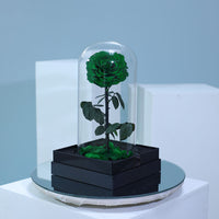 Elegant green preserved single rose in luxury wrapping for gifting in Qatar