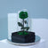 Elegant green preserved single rose in luxury wrapping for gifting in Qatar