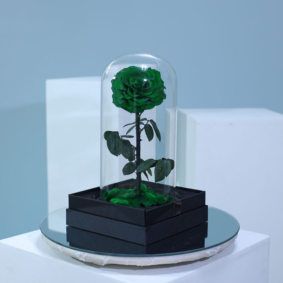 Elegant green preserved single rose in luxury wrapping for gifting in Qatar