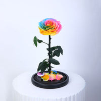 Colourful rainbow preserved single rose in luxury wrapping for gifting in Qatar