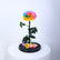 Colourful rainbow preserved single rose in luxury wrapping for gifting in Qatar