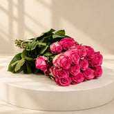 25 stems of Ecuador roses for wholesale price  