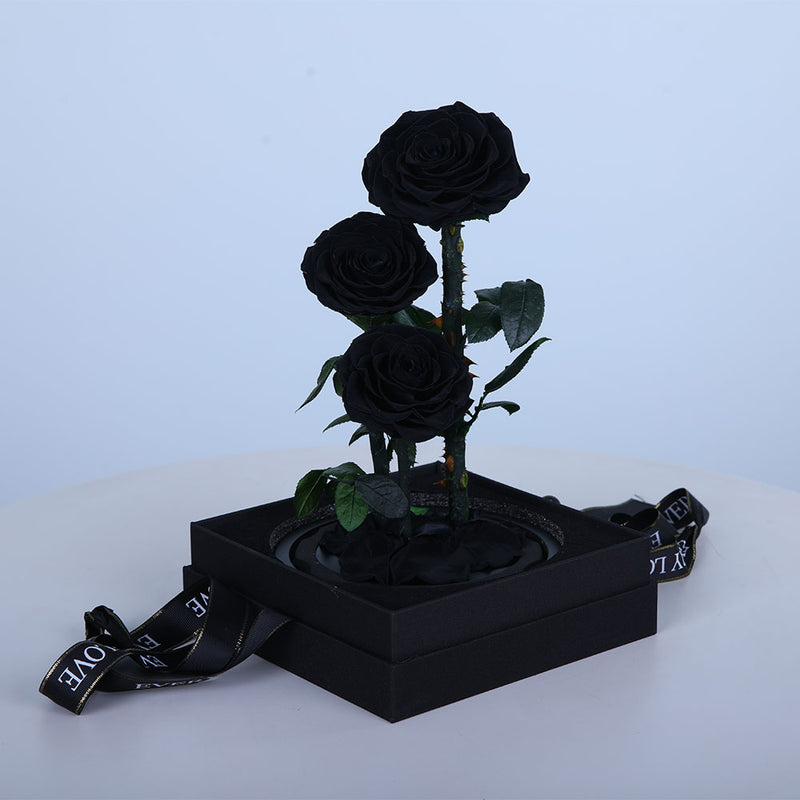 Discover elegant three black preserved roses in Qatar. Long lasting luxury floral arrangement perfect for unique gifts, modern décor, birthdays, and premium occasions.