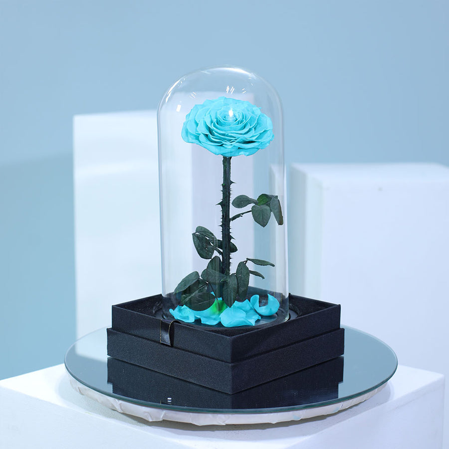Luxury Tiffany blue long lasting single rose in elegant wrapping for gifting in Qatar