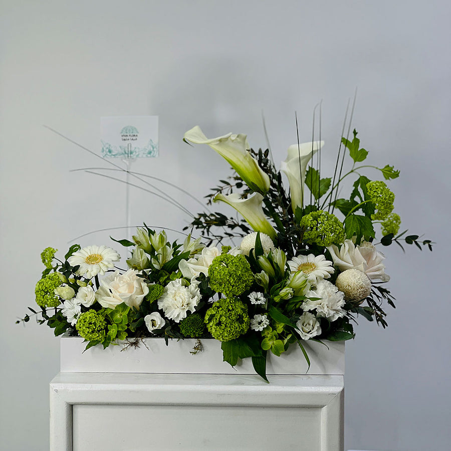 A floral arrangement featuring white calla lilies, white daisies, white roses, and vibrant green pom-pom and globe flowers, displayed in a white rectangular planter box against a light gray wall.