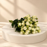 white spray roses in wholesale price