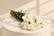 order white carnation flowers in wholesale price range 