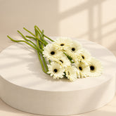 A bouquet of artificial white gerbera daisies with green stems, arranged on a white surface against a white background.