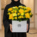 A vibrant yellow flower box arrangement featuring yellow roses, yellow chrysanthemums, and green foliage, presented in a white square box with the brand 'VIVA FLORA' printed on the front, sitting on a white table against a light gray wall.