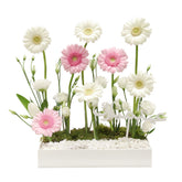 Nesrine 1 - Eid Flowers