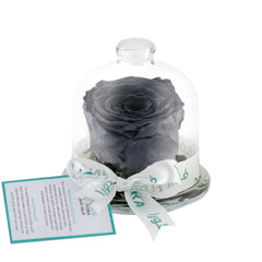 Rose Mini Dome
