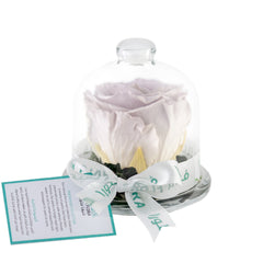 Rose Mini Dome