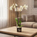 A potted white Phalaenopsis orchid plant with green leaves in a dark square vase, placed on a light wood table in a softly lit living room with a sofa and curtains in the background.